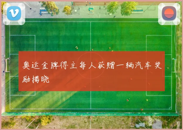 奥运金牌得主每人获赠一辆汽车奖励揭晓